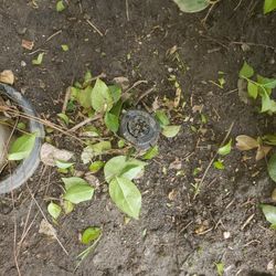 Need New Sprinklers?