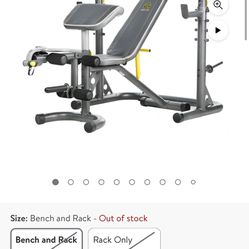 Golds Gym XRS20 with Extra Weights And agree
