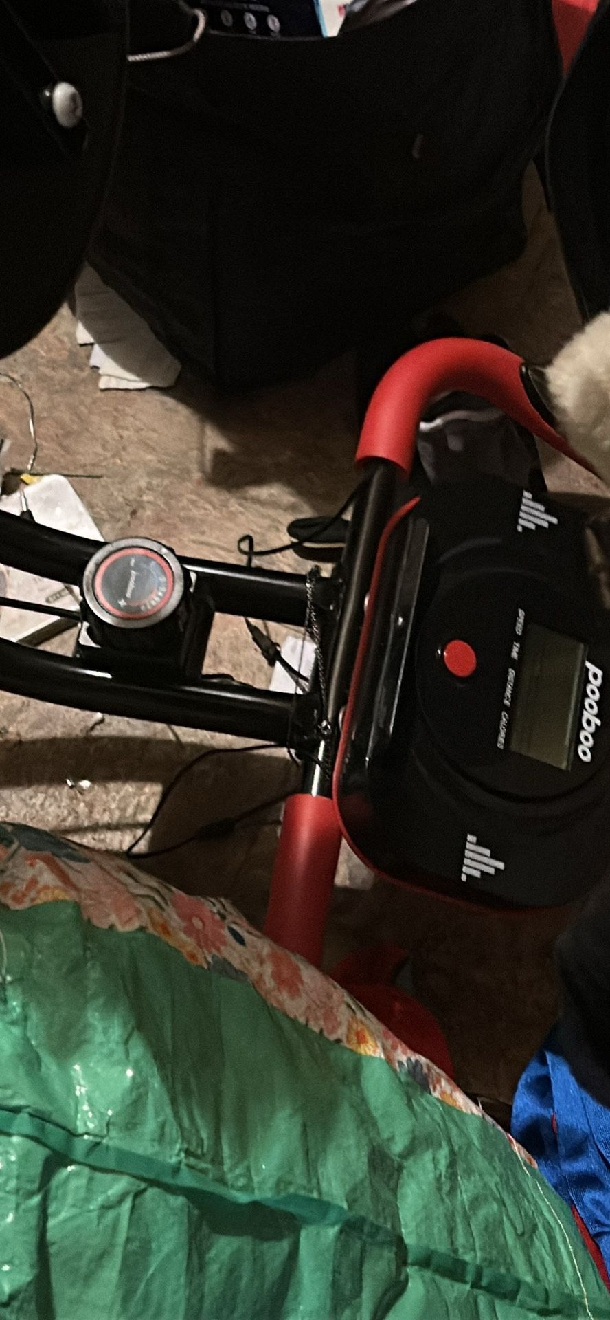 Exercise Bike