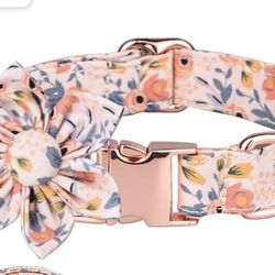 Dog Collar And Leash Set New 