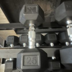 25 Pound Dumbbell 