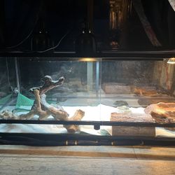 Reptile Tank