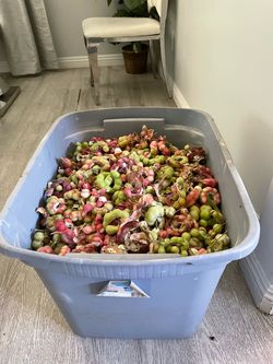 Guamuchiles