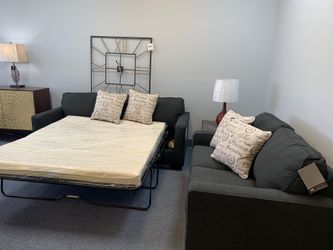 New sofa sleeper and loveseat