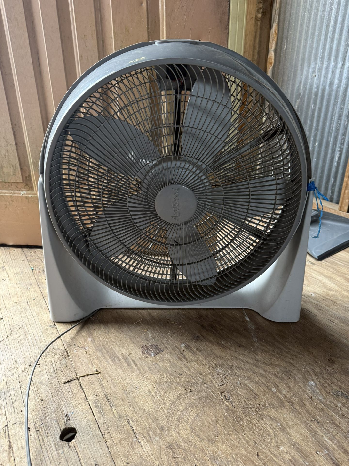 Fan