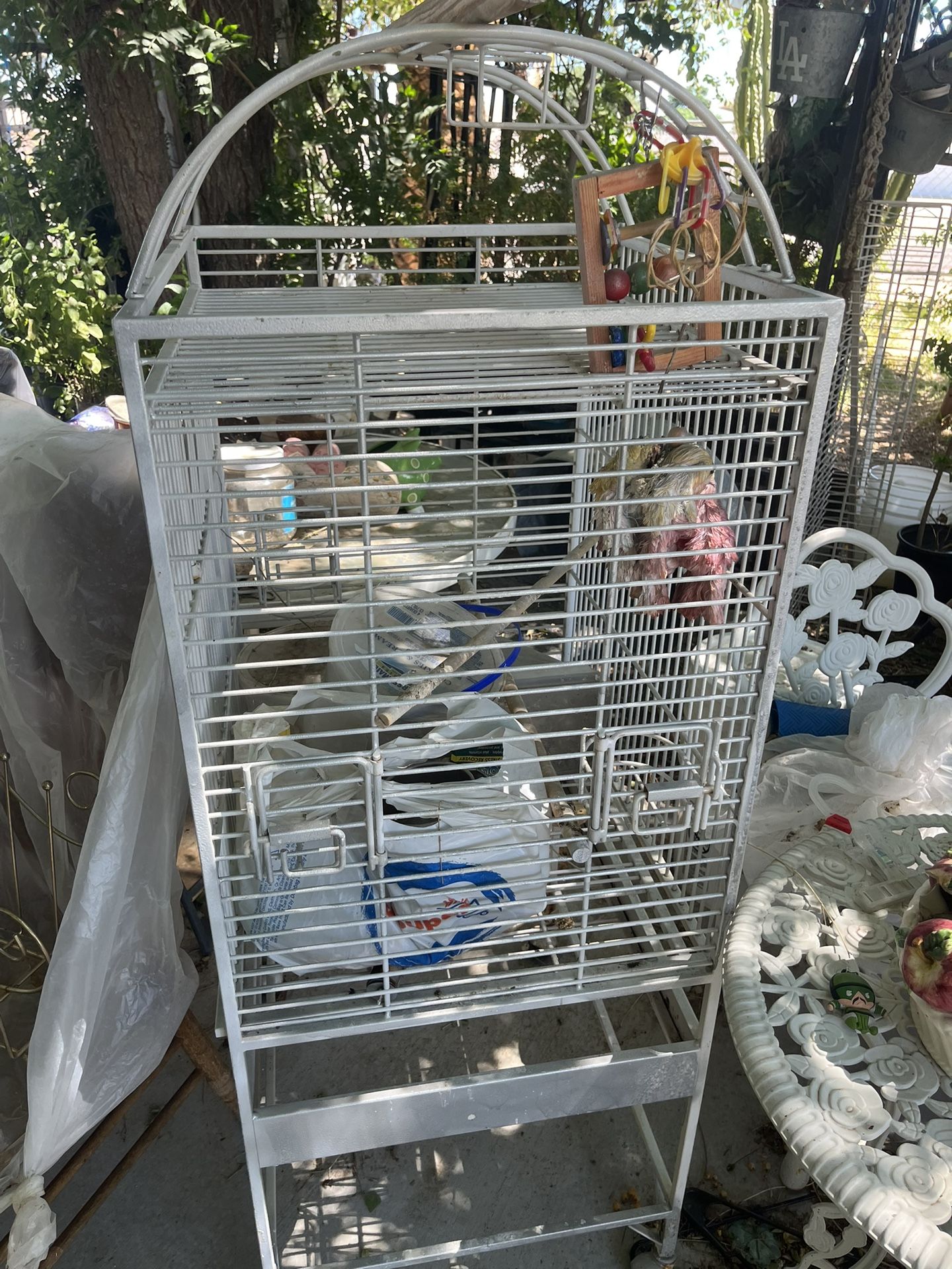 Bird Cage