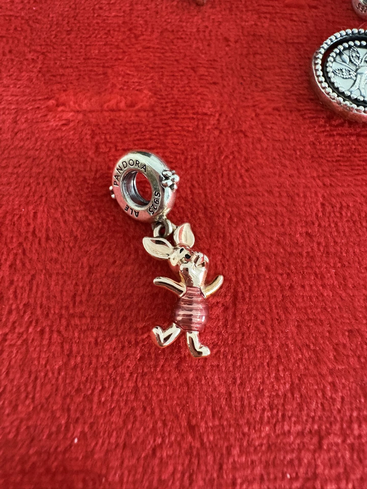 Pandora Charms 