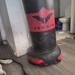 Free Standing Punching Bag 