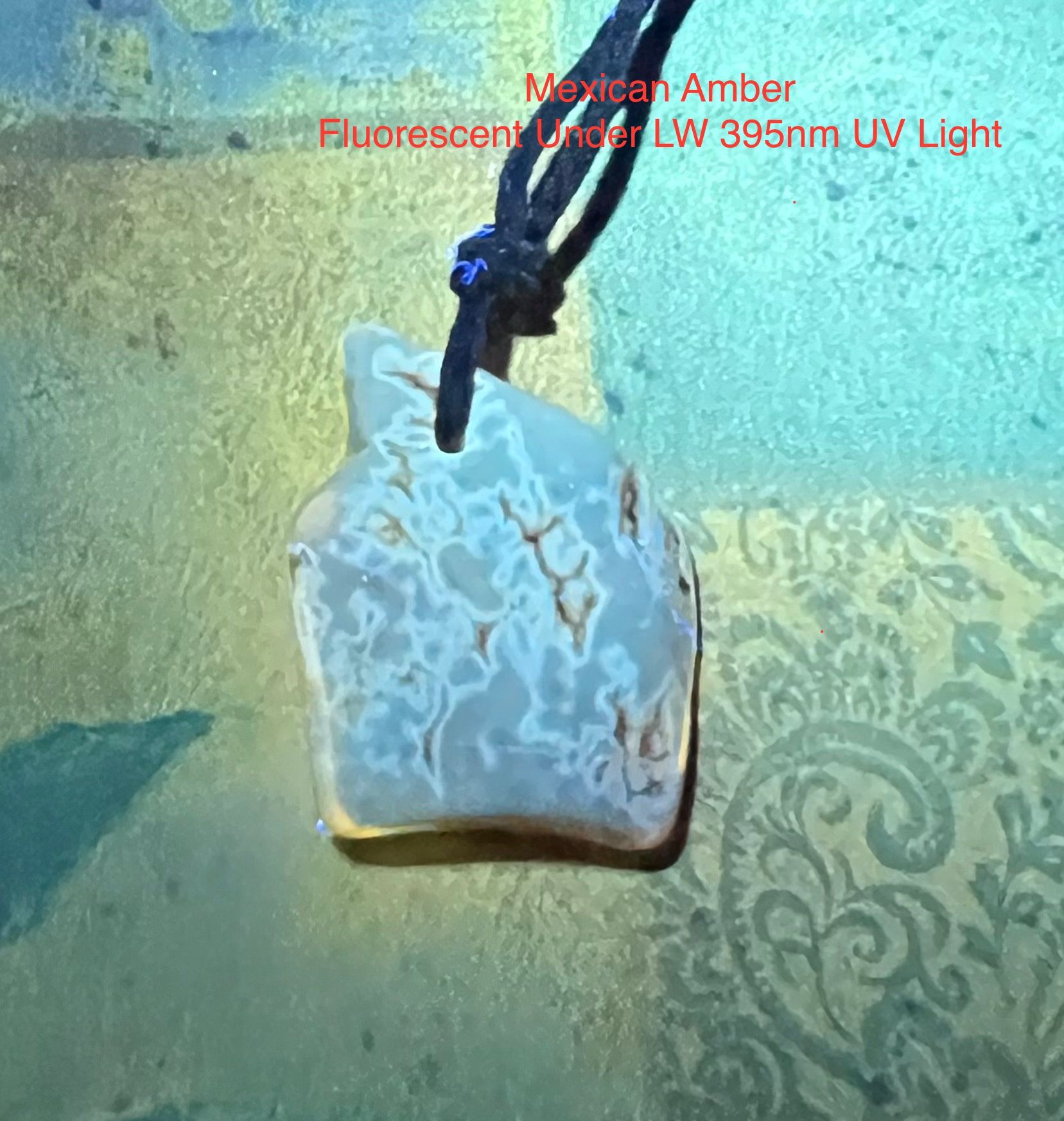 Mexican Amber Genuine Necklace with Adjustable Cord -Fluorescent