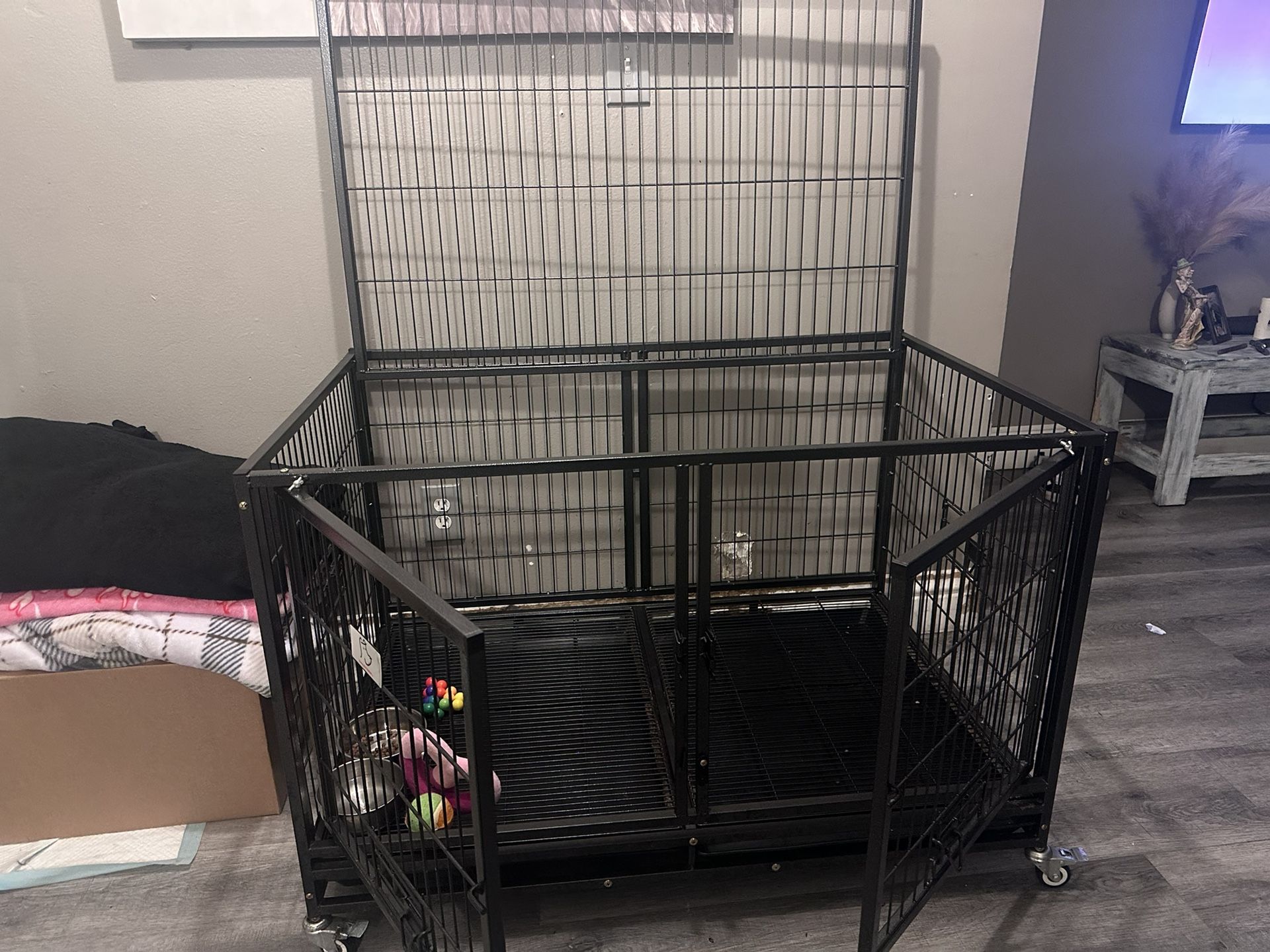 Cali cage