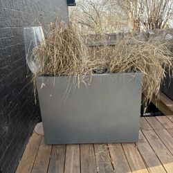 Large Planters 