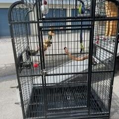 Xl Parrot Cage  