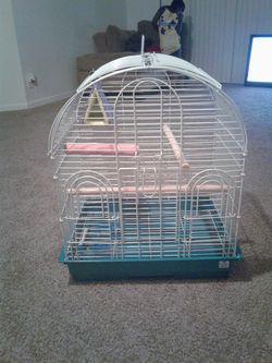 Bird Cage