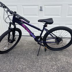 Schwinn 26” sidewinder