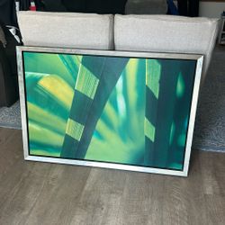 Framed Photograph 