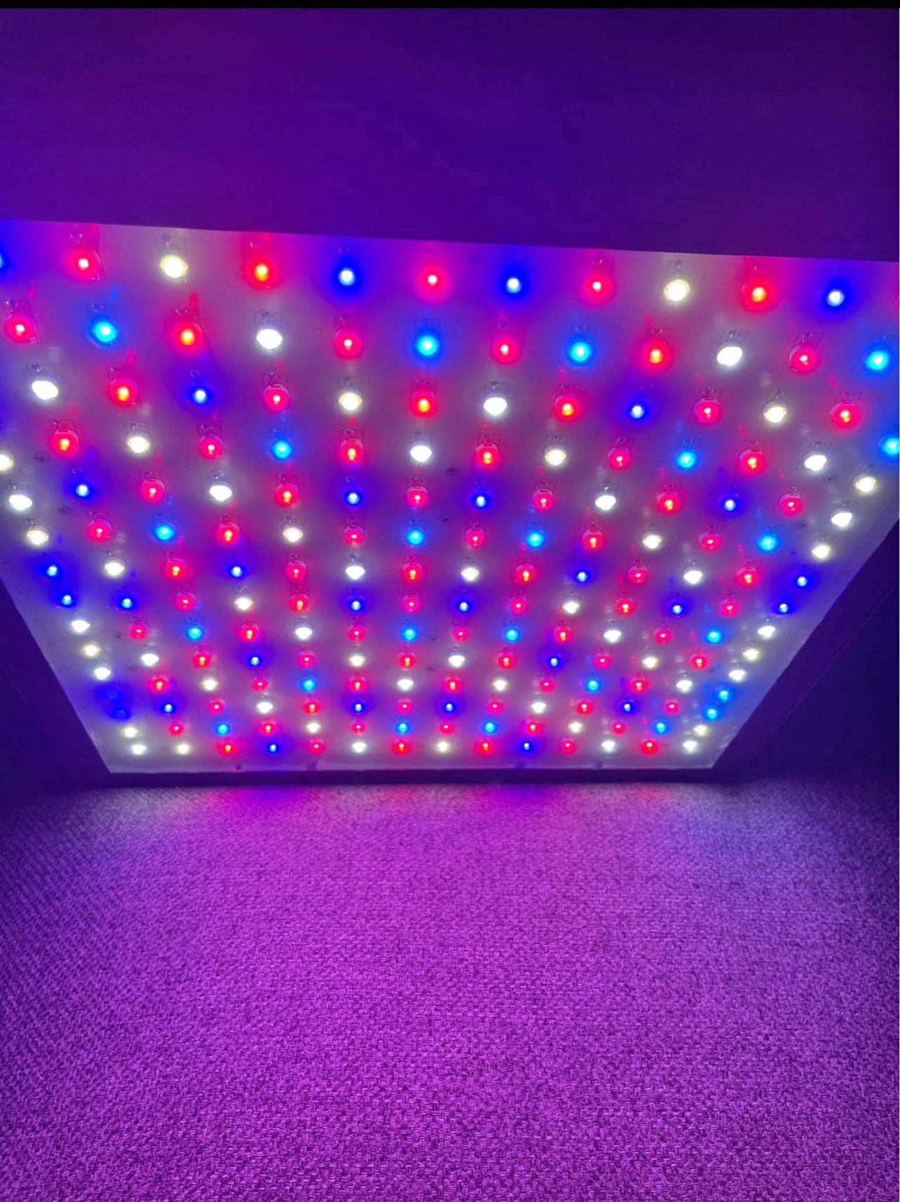 Grow Light