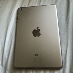 iPad Mini (1 Gen )