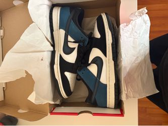 Nike Dunk Low NAS size 8.5 M