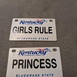 TOY LICENSE PLATE FOR GIRLS BIKE $10 EACH BOTH $15.  NON SMOKING HOME 