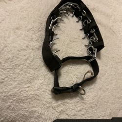 A Strong Leather, With Metal Collar For A Strong Dog (NO SHIPPING)