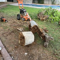Stump Grinding 