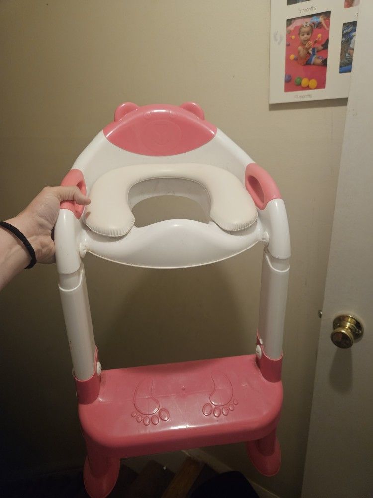 Toddler Potty Seat With Ladder 