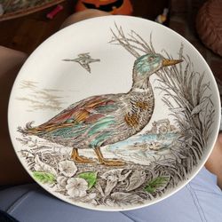 Wild Birds Of Health & Moorland