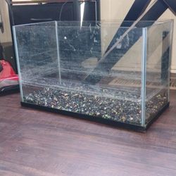 Fish Tank 