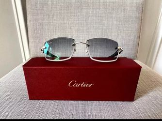 Cartier Buffalo Horn Glasses CT00490 Silver & Black