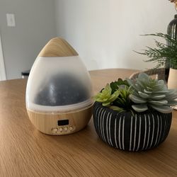 Star Projecter & Fake Succulent