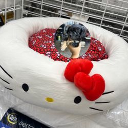Hello Kitty Bed 