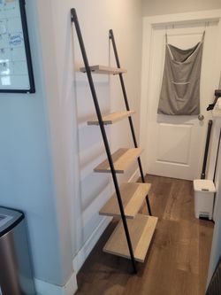 Ladder shelf