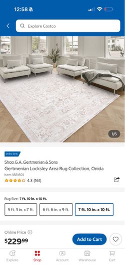 Rug carpet 7x10
