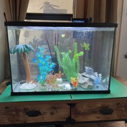 30 Gallons Tank 