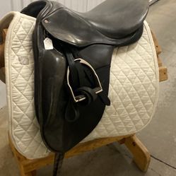 18.5” Courbette Grand Prix 