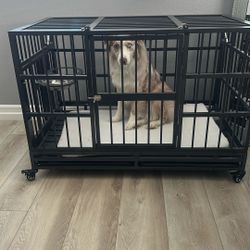 Dog Crate