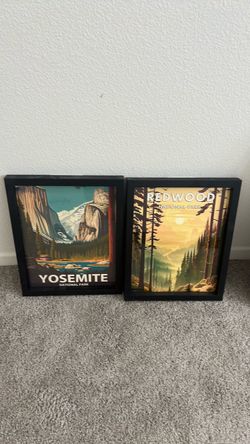 NP framed wall art