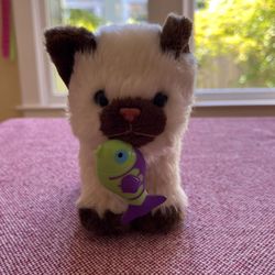 American Girl Himalayan Cat