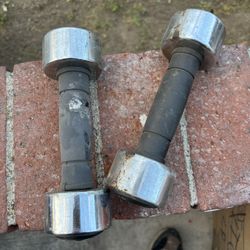 2 Dumbbells $14