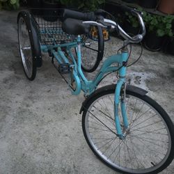 Adult Tricycle