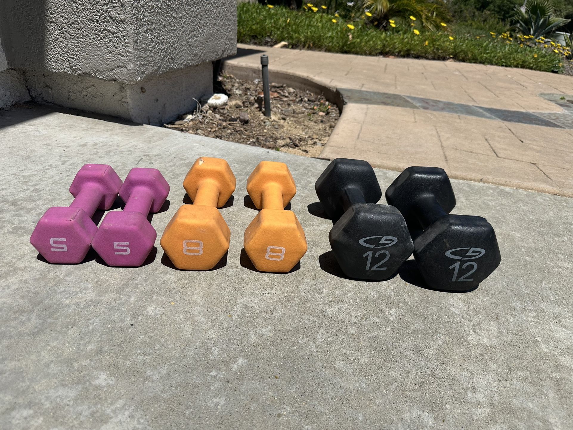 Set of 3 free weights