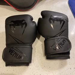 Venum Challenger 2.0 Kids Boxing Gloves