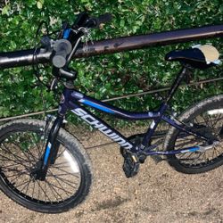 Kids Schwinn