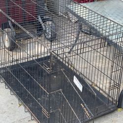 Kennel