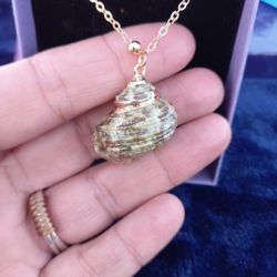 Beautiful Shell Necklace