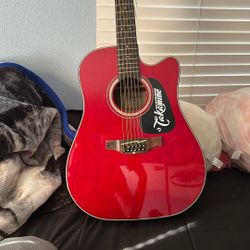 Takamine G series Red Wine