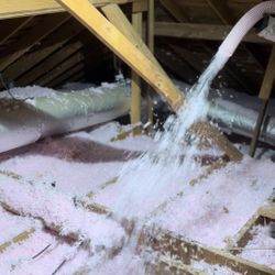 Attic Insulation / Removal  rodents 