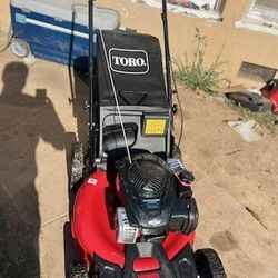 21 in. Recycler Briggs and Stratton 140 cc Gas High-Wheel Walk Behind Push Lawn Mower