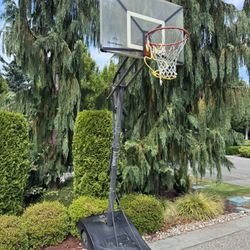Silverback Basketball hoop