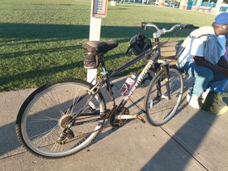 Scwian bike